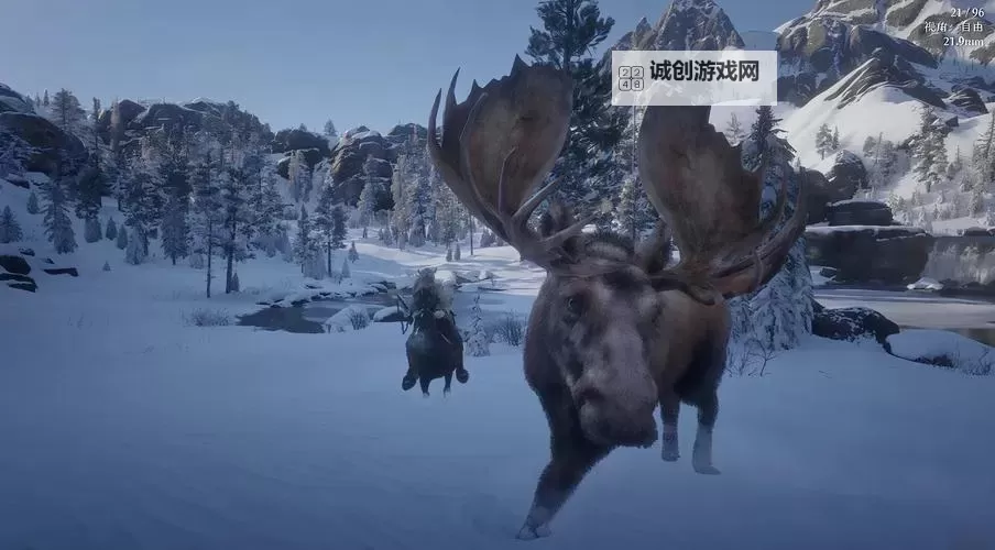 《荒野大镖客2》刷完美驼鹿位置推荐 完美驼鹿在哪刷图1