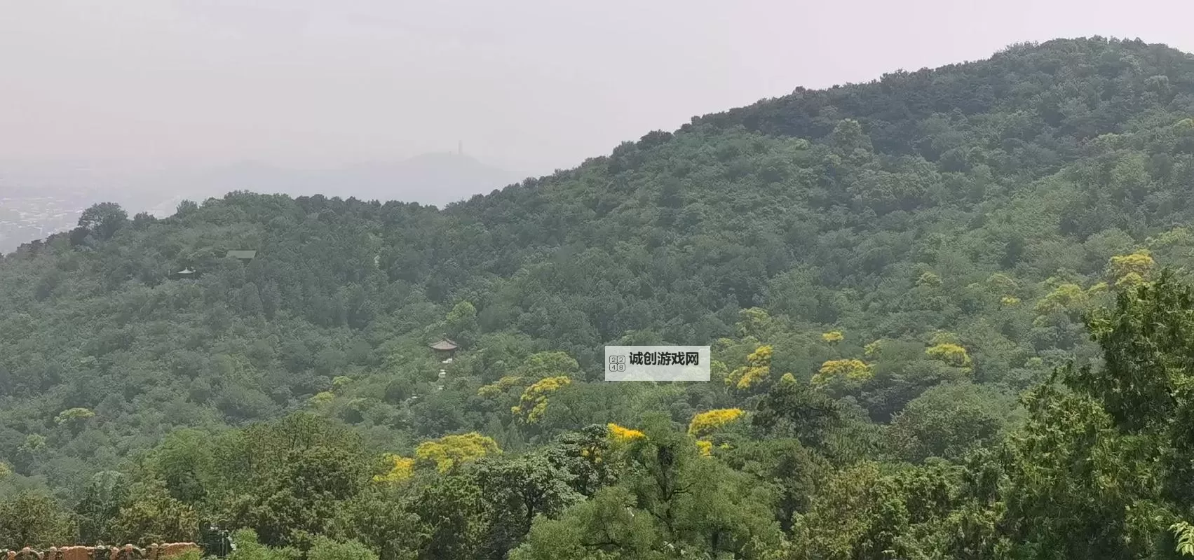 《推理学院》谁是猪头王怎么玩?谁是猪头王玩法攻略详解图1