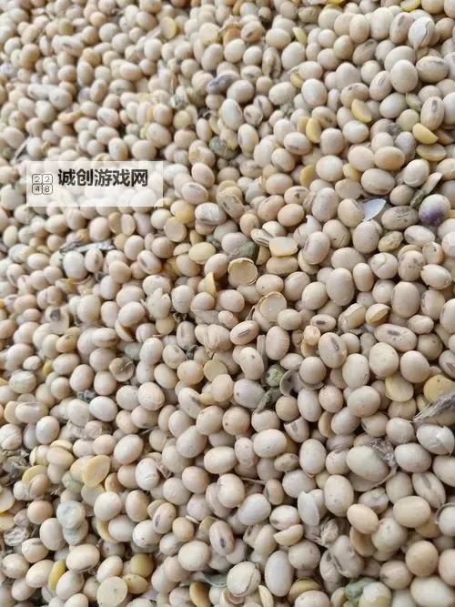 探索51大豆行情网仙林踪：免费获取最新大豆行情信息图1