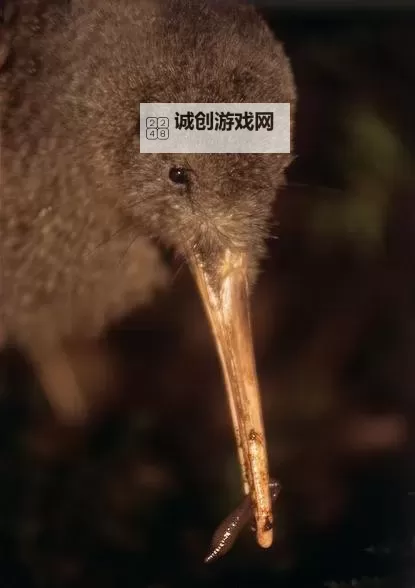 日本无翼鸟邪恶：暗黑艺术背后的扭曲幻想图1