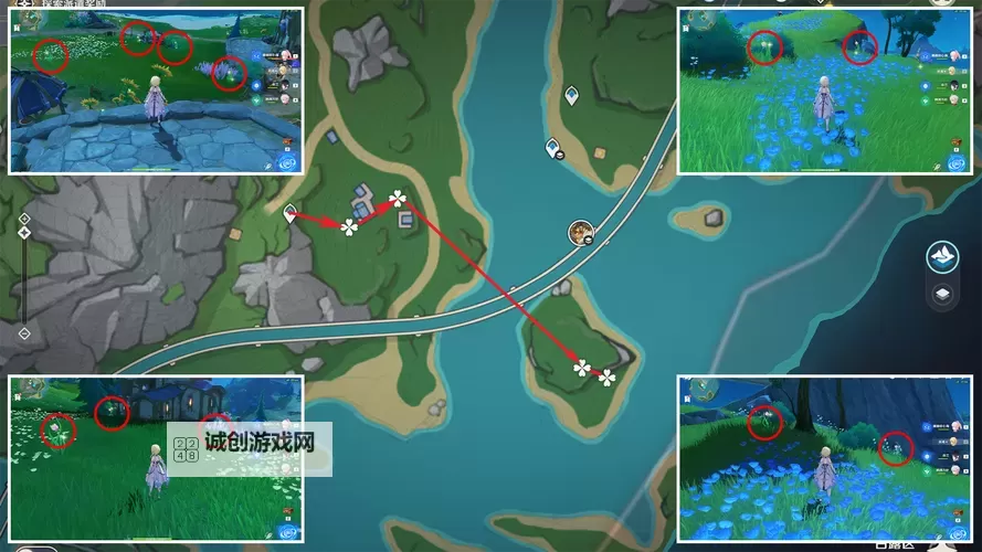 《原神》4.1虹彩蔷薇高效收集路线推荐 海露花采集推荐图1