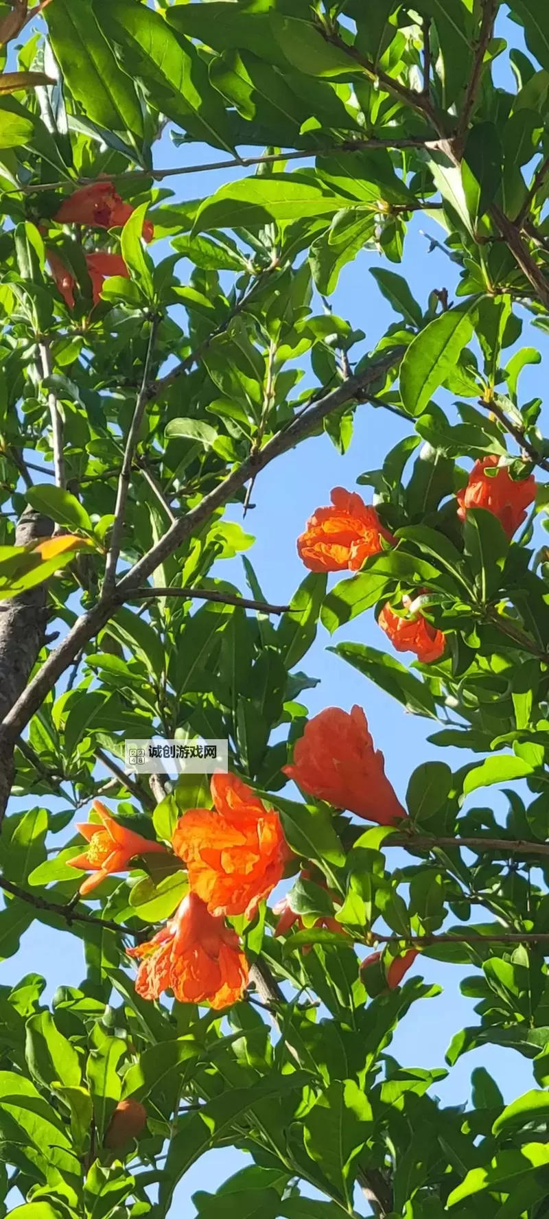 《黑神话悟空》波浪浪简单打法攻略 波浪浪怎么打图2