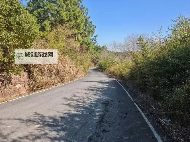 闫盼盼的紫色梦想：色彩中的沉醉与光辉图1