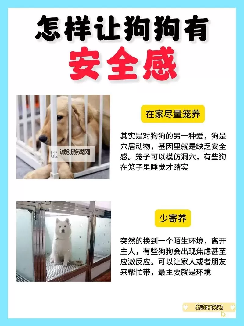 怎样让狗狗进入完全听话的状态图1