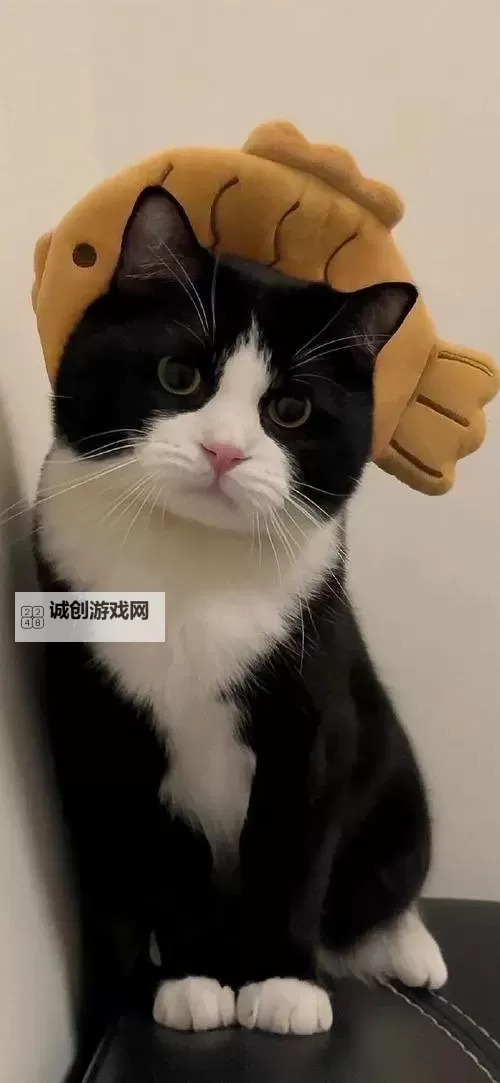 逆水寒老兵服铁衣宗师试炼攻略 铁衣宗师试炼怎么打图1