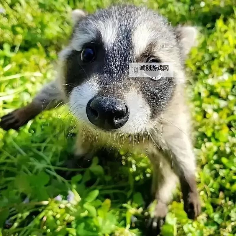 逆水寒老兵服铁衣宗师试炼攻略 铁衣宗师试炼怎么打图2