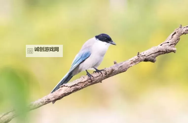 182tv在线无码一区免费在线观看:最新高清独播资源推荐图1