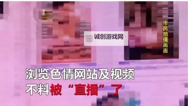 关于粉色小黄片软件的使用与风险分析图1