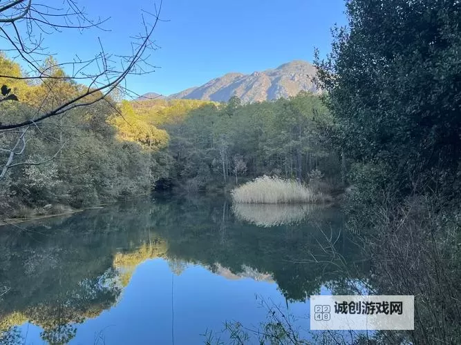 《崩坏星穹铁道》那刻夏全面培养攻略 那刻夏机制解析与出装、配队指南图1