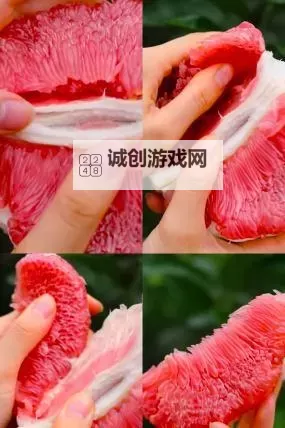 畅享甜美时光：蜜柚视频在线观看全景体验图1