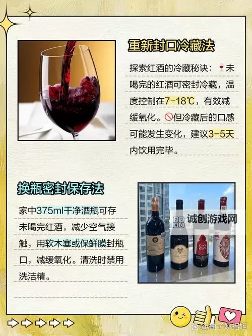 用红酒瓶塞堵住不能流下来皮：解决难题的创新方法图1