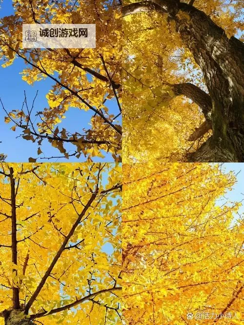 《卧龙苍天陨落》张让打法分享 张让怎么打图1