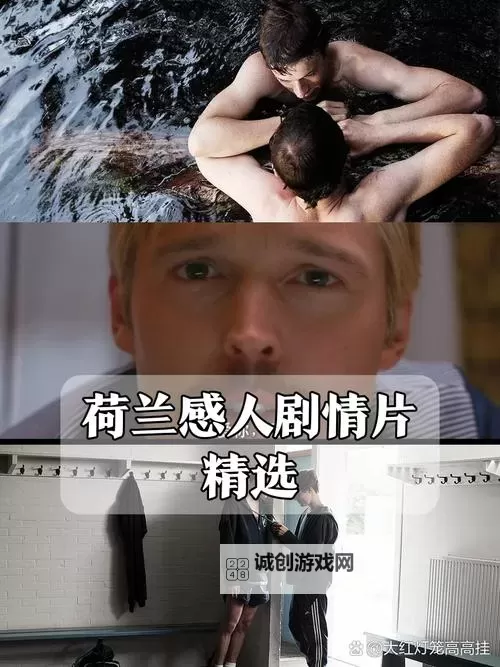 探索荷兰HDXXXXX的独特魅力与精彩体验图1