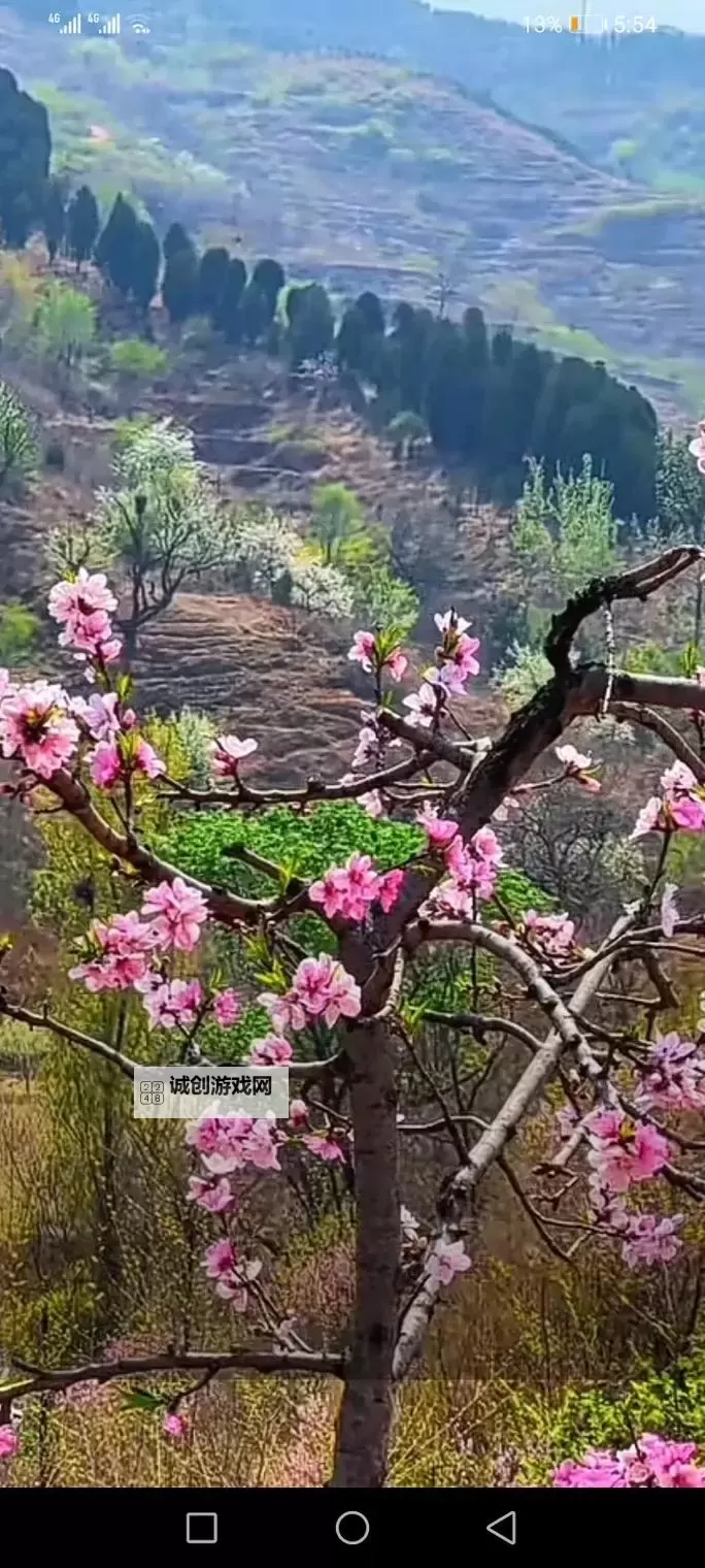 饥荒：哈姆雷特电脑版下载 横向测评：电脑玩饥荒：哈姆雷特模拟器推荐图1