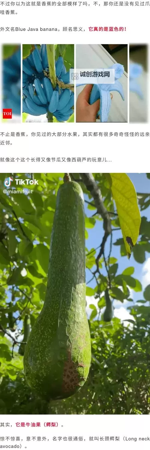 香蕉视频:最新热门内容推荐与观看指南图1