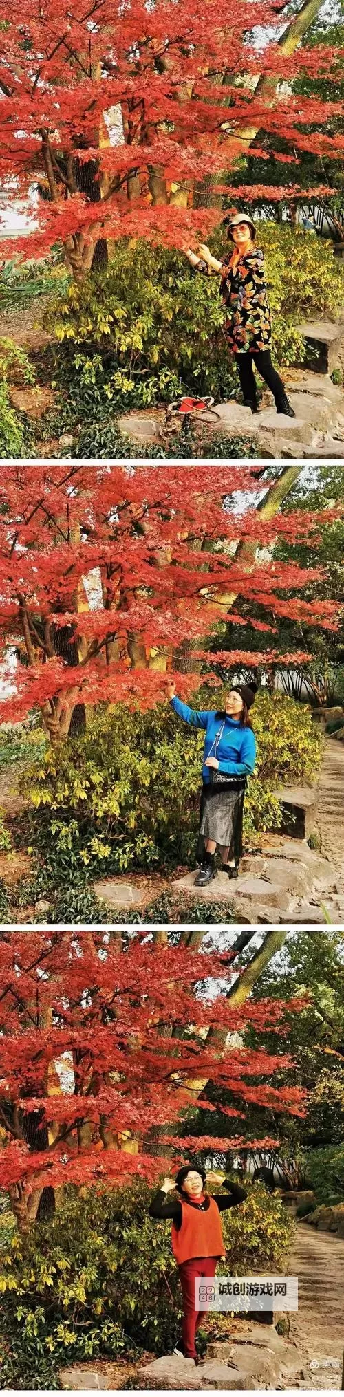 秋霞电网上国影手机版：精准搜索畅享高清电影新体验图1