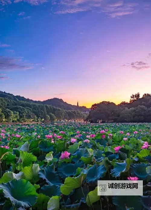 【梓旭卡盟乐卡站】全新上线，畅享便捷一卡通充值体验图1