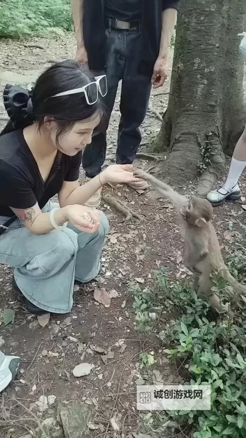 美女和男生一起努力生产猴子:奋战中的奇幻合作之路图1