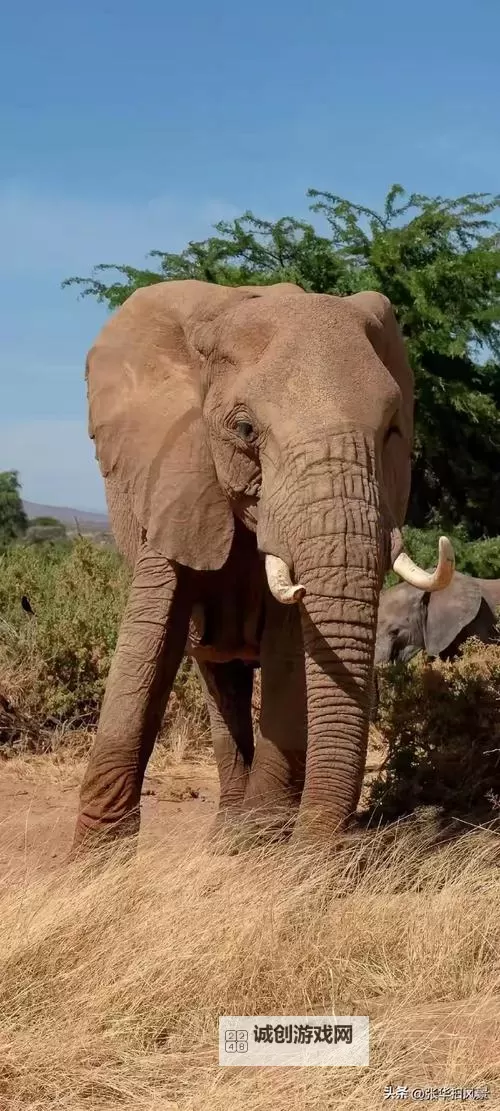 水莓100在线永久防免费视频：完整观看指南与最新资源推荐图1