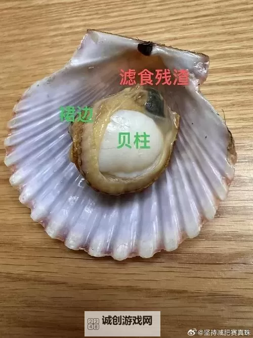 如何用幽默的方式让你记住“再把腿张大点就可以吃到扇贝了”图1