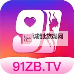 91在线在线超碰:最新安全访问指南与使用技巧图2
