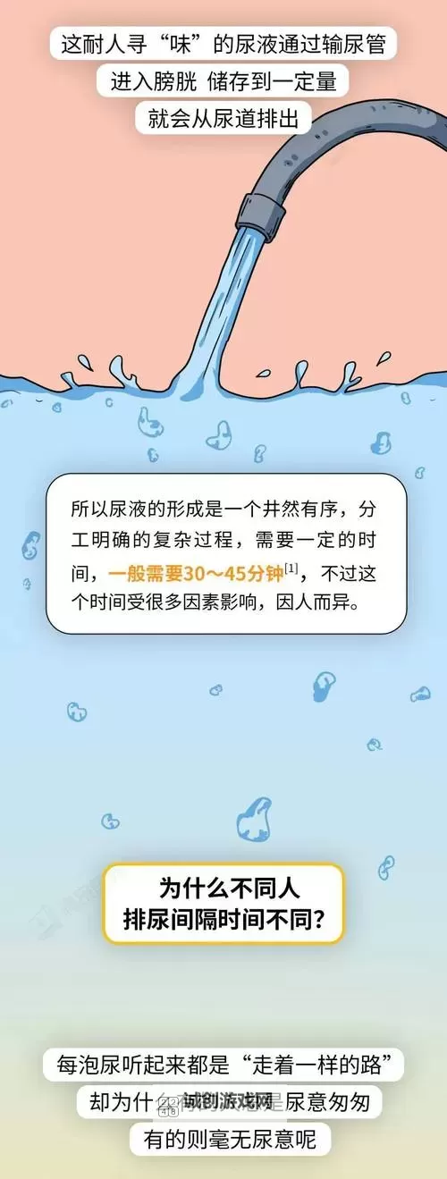 关于主仆憋尿规定一天只尿一次的禁忌与挑战图1