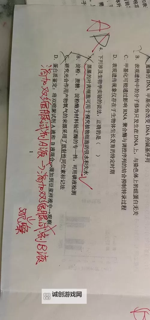 做错题就c一次：提升学习效率的巧妙策略图1