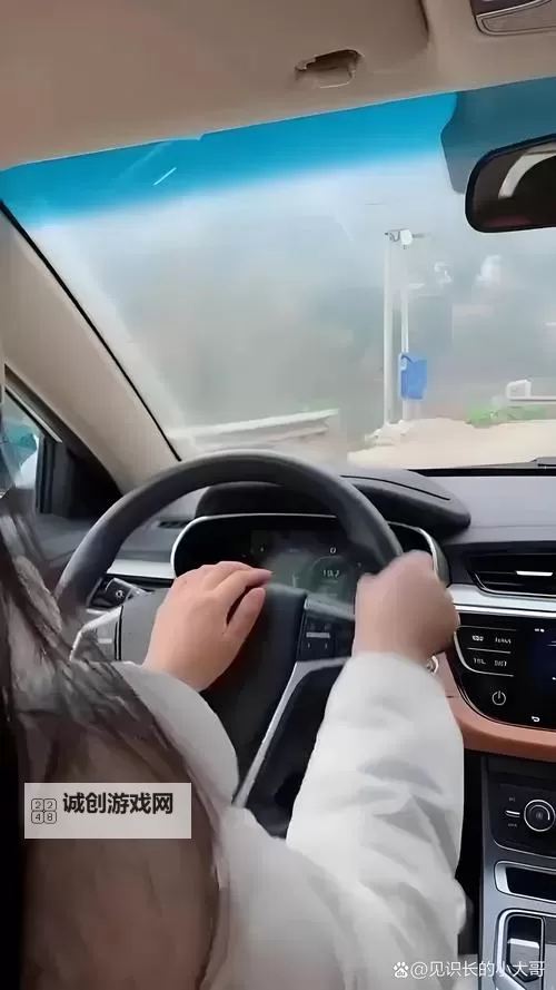 早就想在车里要你了视频：我们的甜蜜时刻回忆图1