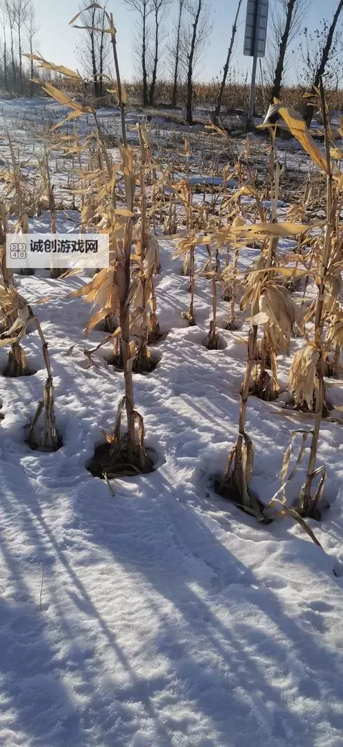 大都督双开挂机软件推荐  怎么双开大都督详细图文教程图1