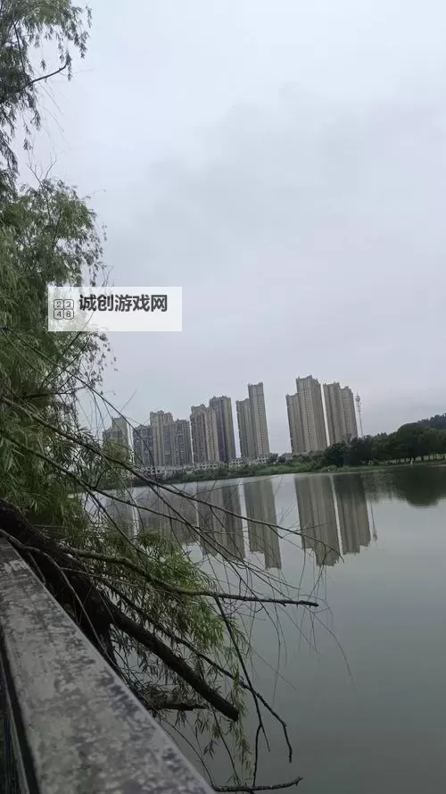 《逆水寒》字画售卖奇遇触发方法及任务攻略 字画售卖触发条件图1