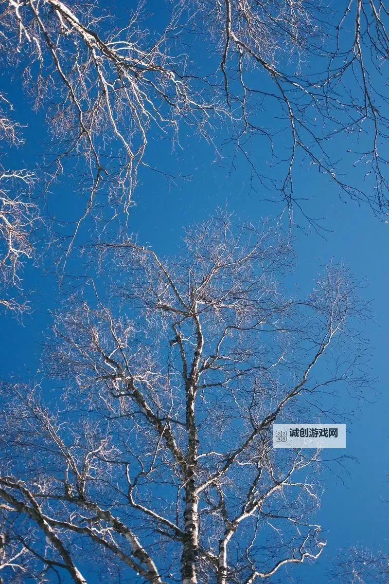 大都督双开挂机软件推荐  怎么双开大都督详细图文教程图2