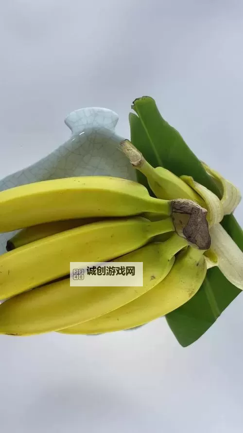 探索无限精彩：香蕉视频99在线带你畅享高清视听盛宴图1