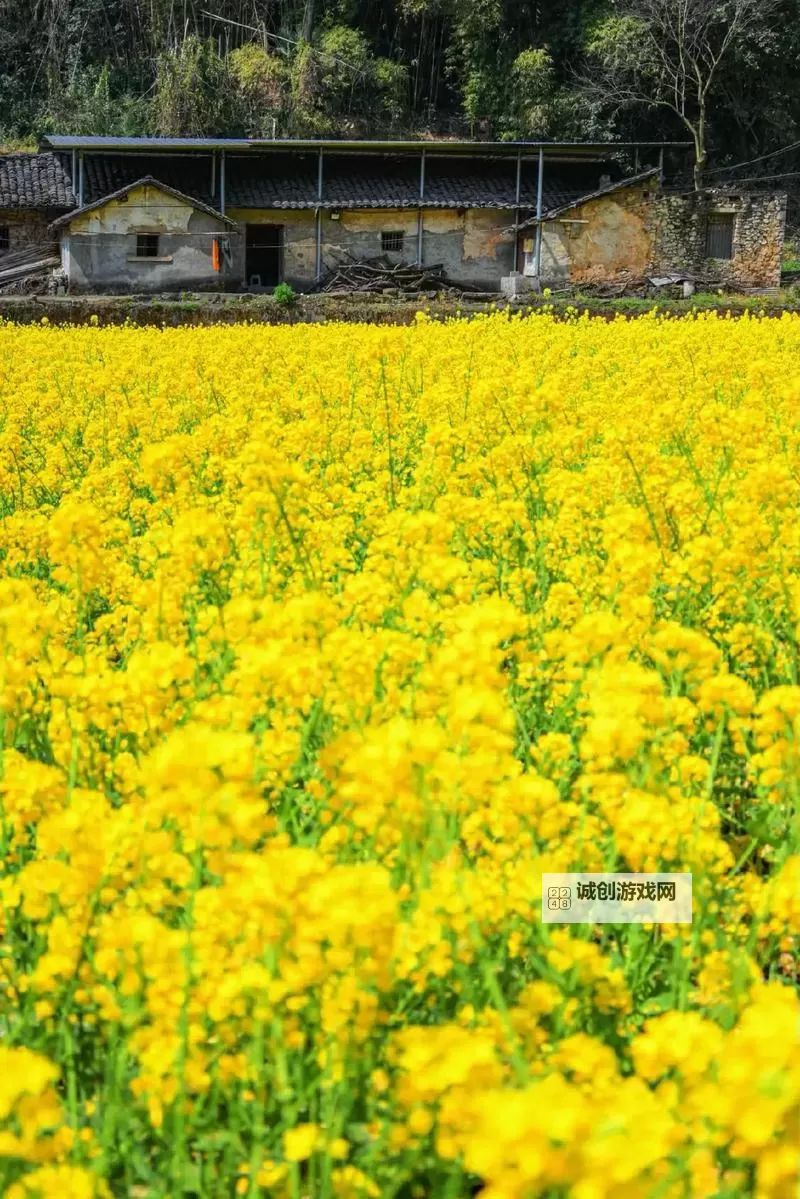 废土2 强制修理罗迪亚电塔小技巧图1