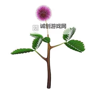 探索心动秘密:《含羞草漫画》带你感受青春的羞涩与温柔图1