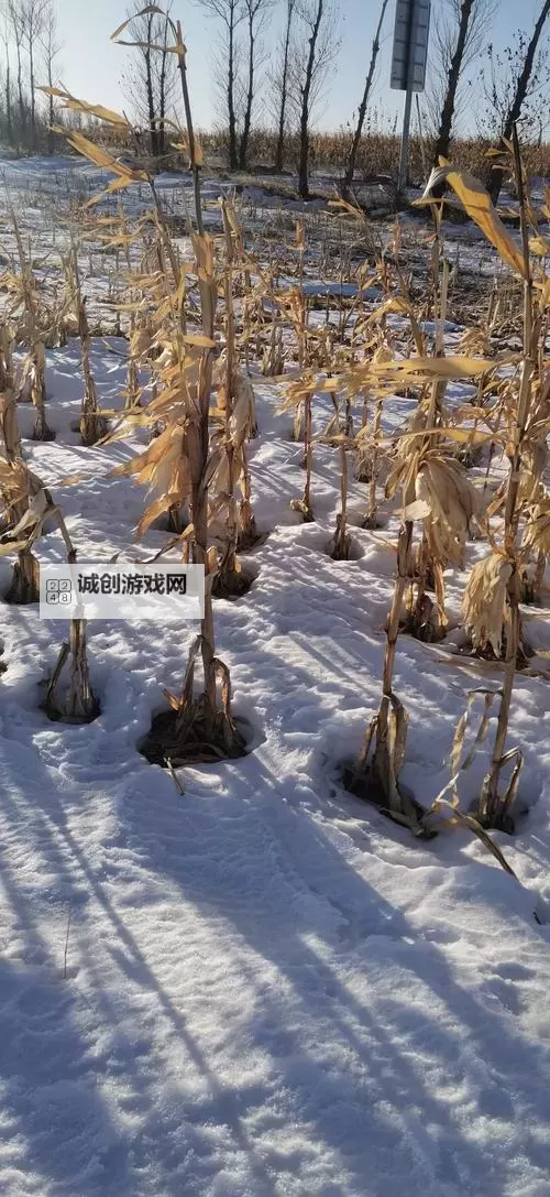 大都督双开挂机软件推荐 怎么双开大都督详细图文教程图1