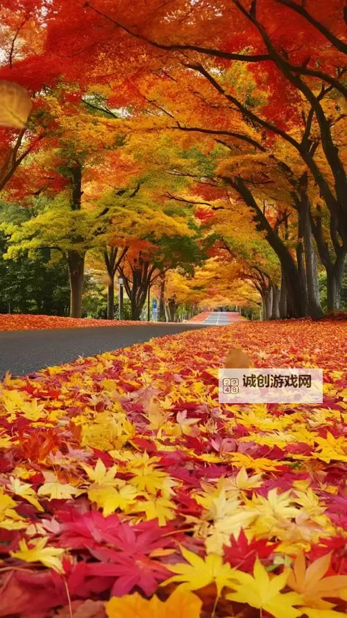 探索全新娱乐体验:X8X8拨牐拨牐X8免费视频8文字全解析图1