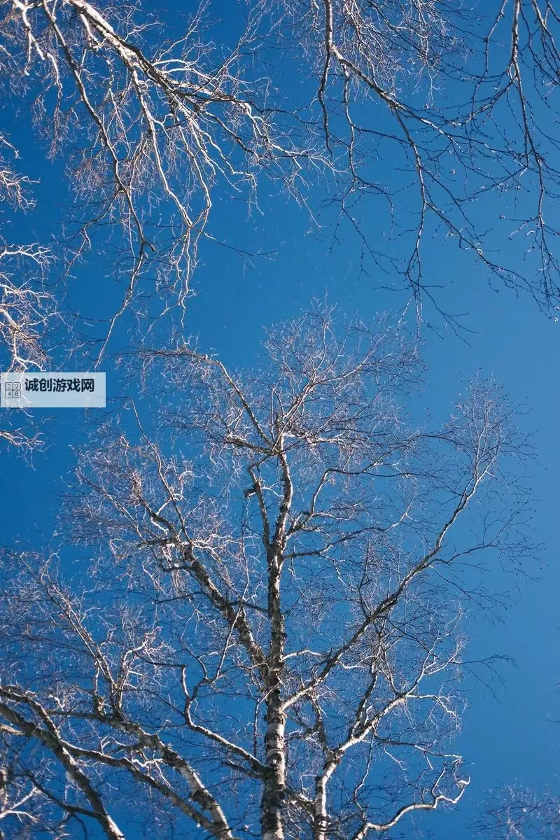 大都督双开挂机软件推荐 怎么双开大都督详细图文教程图2