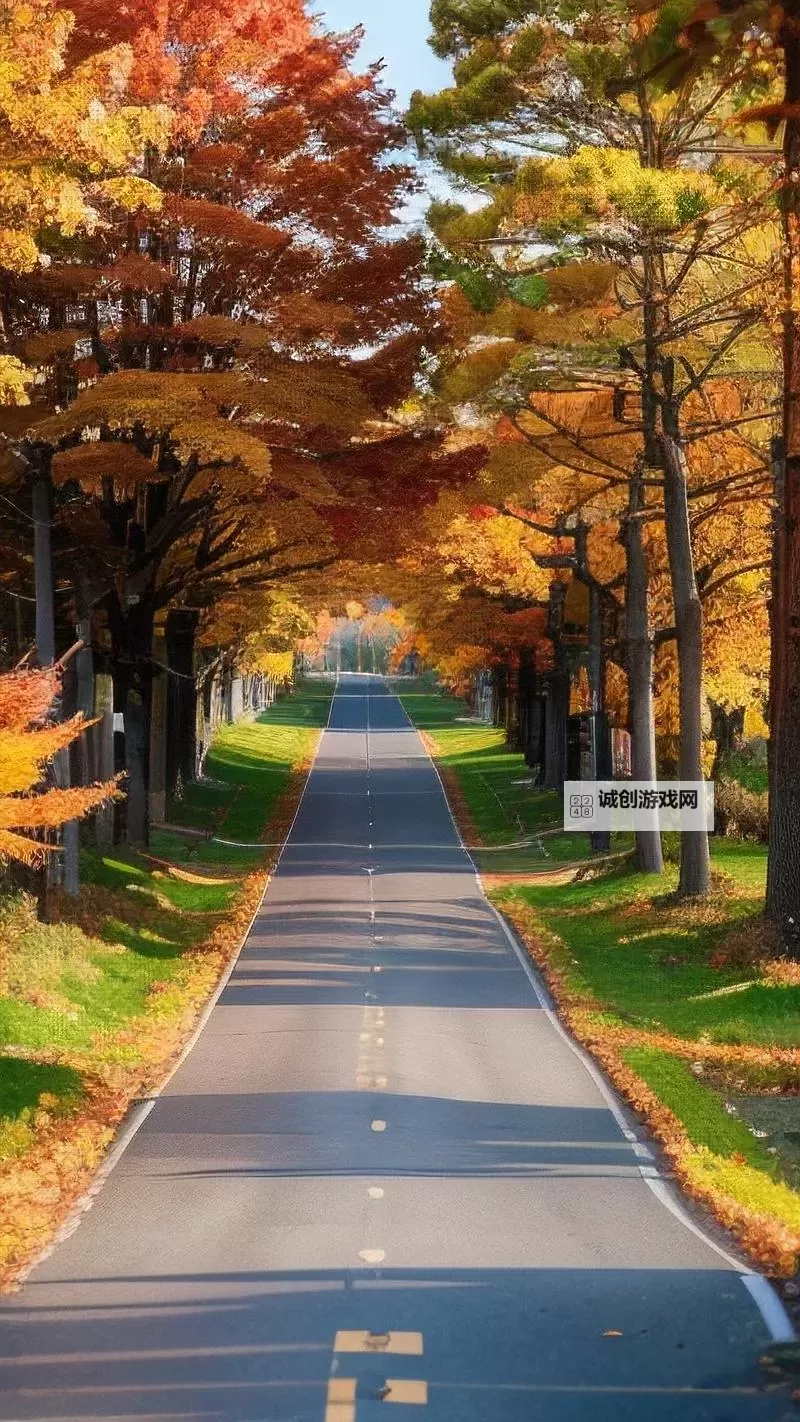 《勇者斗恶龙英雄2》小金币获得方法及兑换道具一览 小金币怎么获得图1