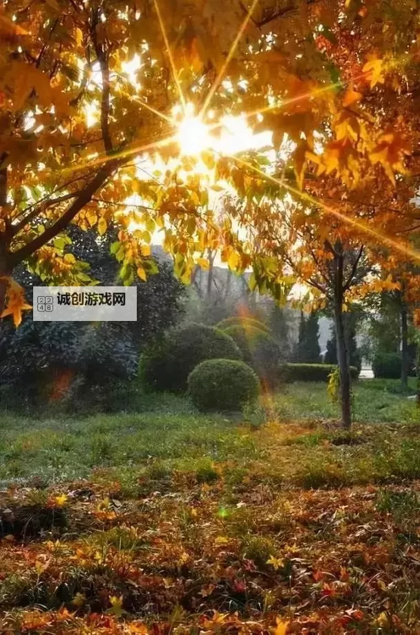 《勇者斗恶龙英雄2》小金币获得方法及兑换道具一览 小金币怎么获得图2