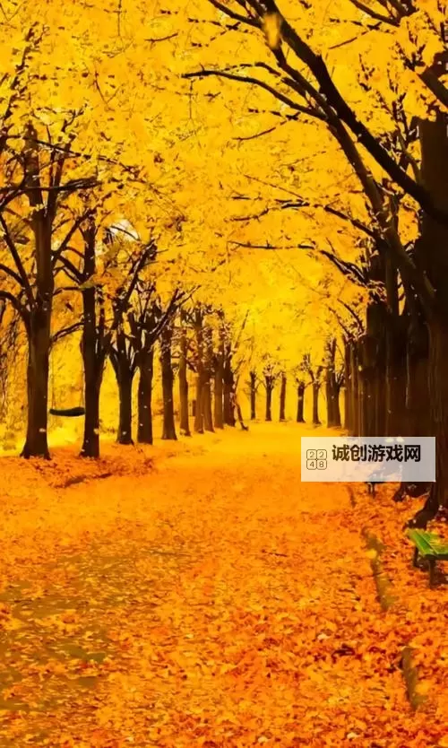 《勇者斗恶龙英雄2》小金币获得方法及兑换道具一览 小金币怎么获得图2