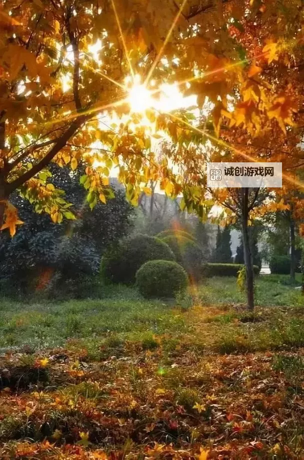 《勇者斗恶龙英雄2》小金币获得方法及兑换道具一览 小金币怎么获得图1