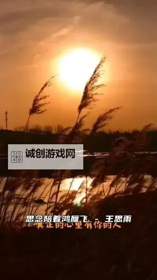 最感动mv：光影里的告白与泪光图1