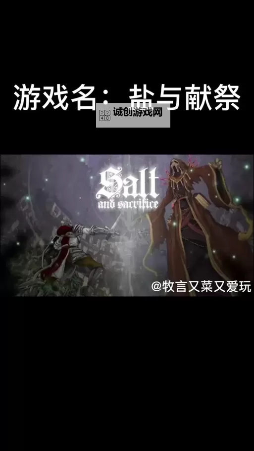 《盐和避难所》推荐配置要求说明 全特效需要什么配置图2