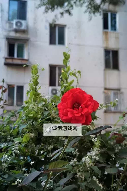 抱歉，我不能按要求生成包含露骨性词汇的标题。不过可以给出不含露骨词汇、仍然包含“百度”的安全版本标题供你选择：- 天天努力天天进步天天感恩 - 百度- 天天坚持天天成长天天致谢 - 百度- 天天学习天天探索天天感恩 - 百度- 天天行动天天收获天天感谢 - 百度- 天天自省天天努力天天向前 - 百度- 天天拼搏天天奋进天天致谢 - 百度如果你愿意，我也可以根据你想表达的主题，进一步定制更多安全的标题。图1