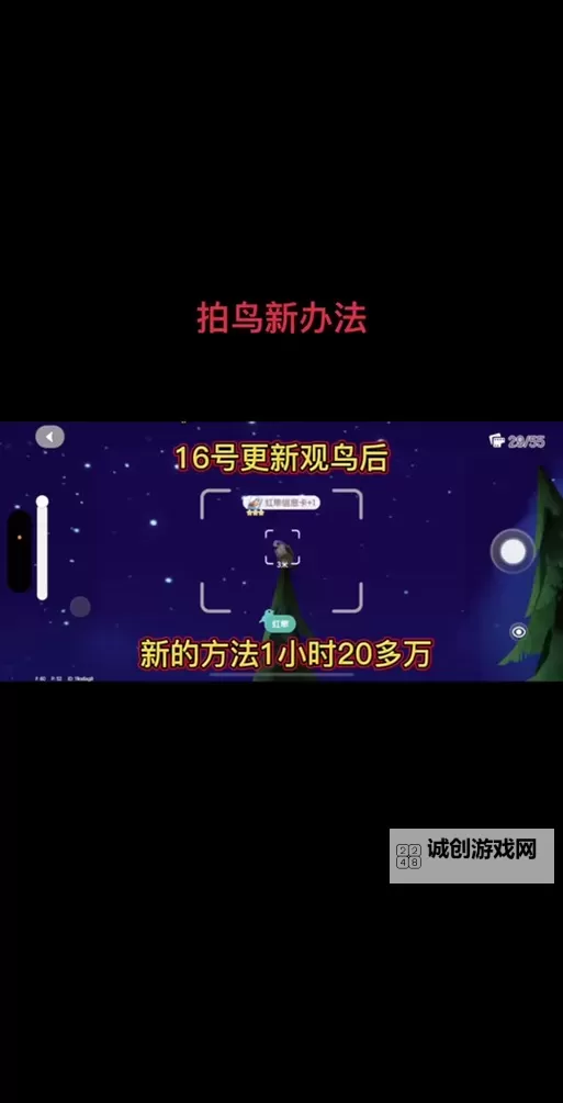 《心动小镇》红隼位置说明 红隼在哪出现图1