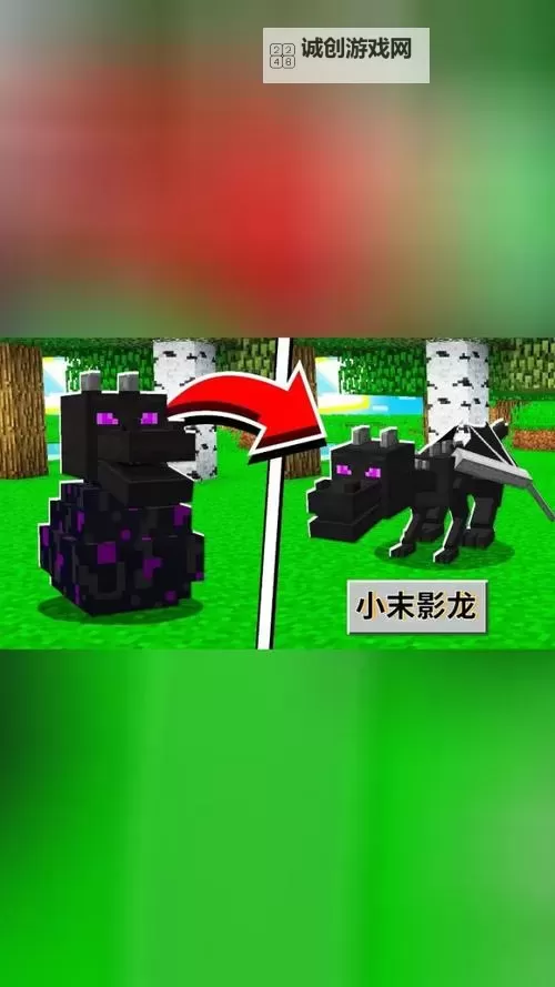 《我的世界》1.9末影龙头及龙息获得方法 1.9龙头怎么获得图1