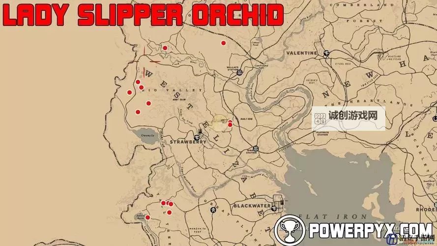 《荒野大镖客2》PC版存档位置一览 荒野大镖客2存档位置在哪图1