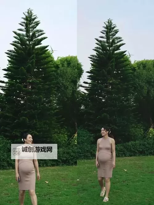 网海迷航：在 http//xiao77 的数字边界上寻回记忆图1