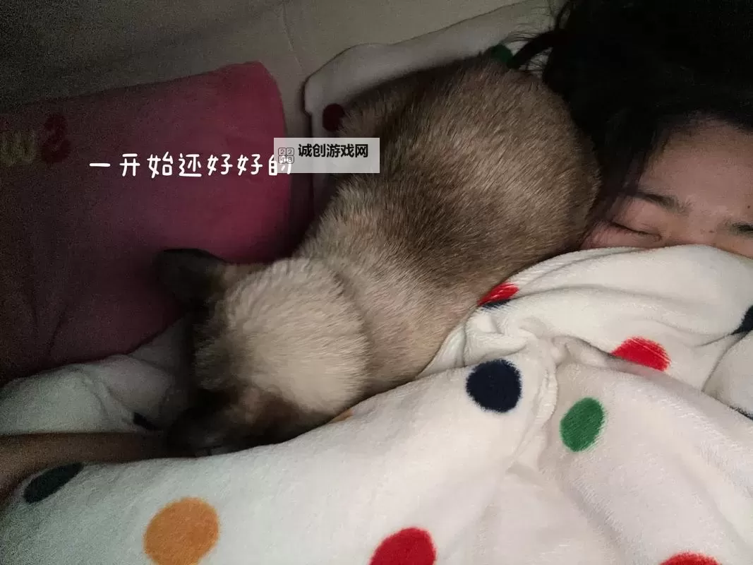 早上醒来巨大还在里面:一座城市的沉默觉醒图1