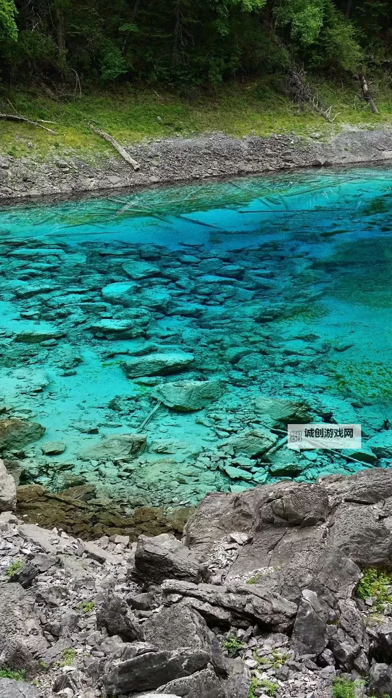 《女神异闻录夜幕魅影》课堂问题答案一览 日常委托完成方法图1